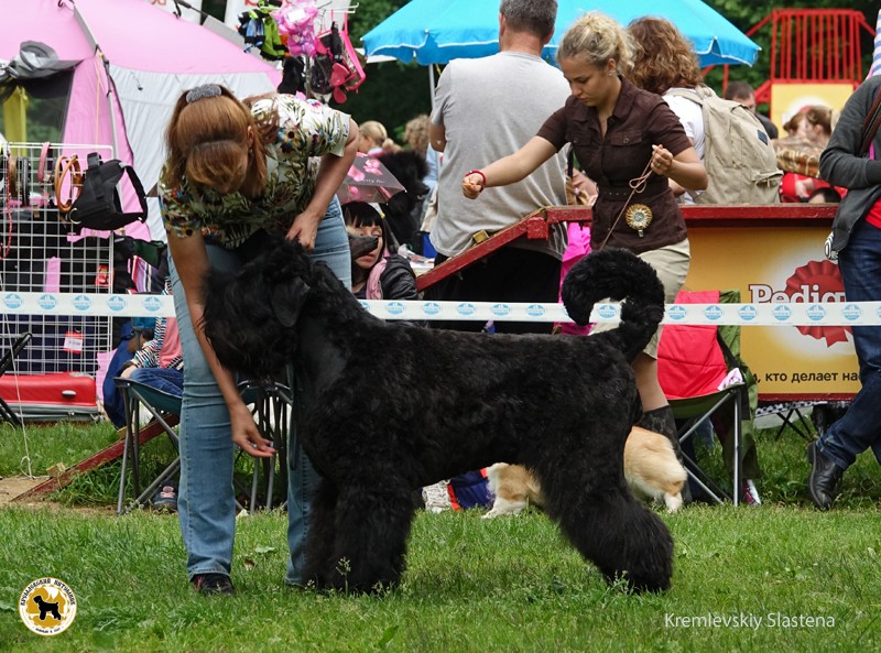 DSC00612_slastena